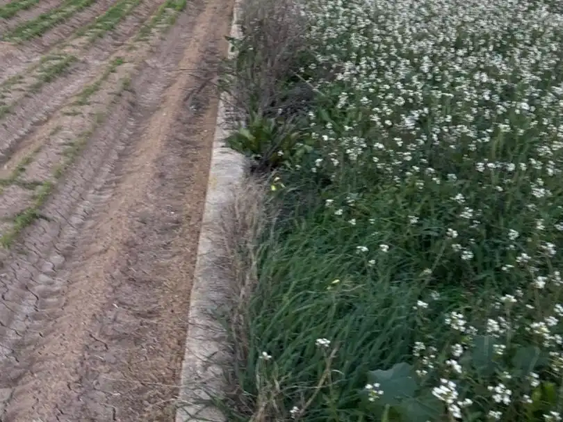 Grundstücke zum Verkauf in Murcia