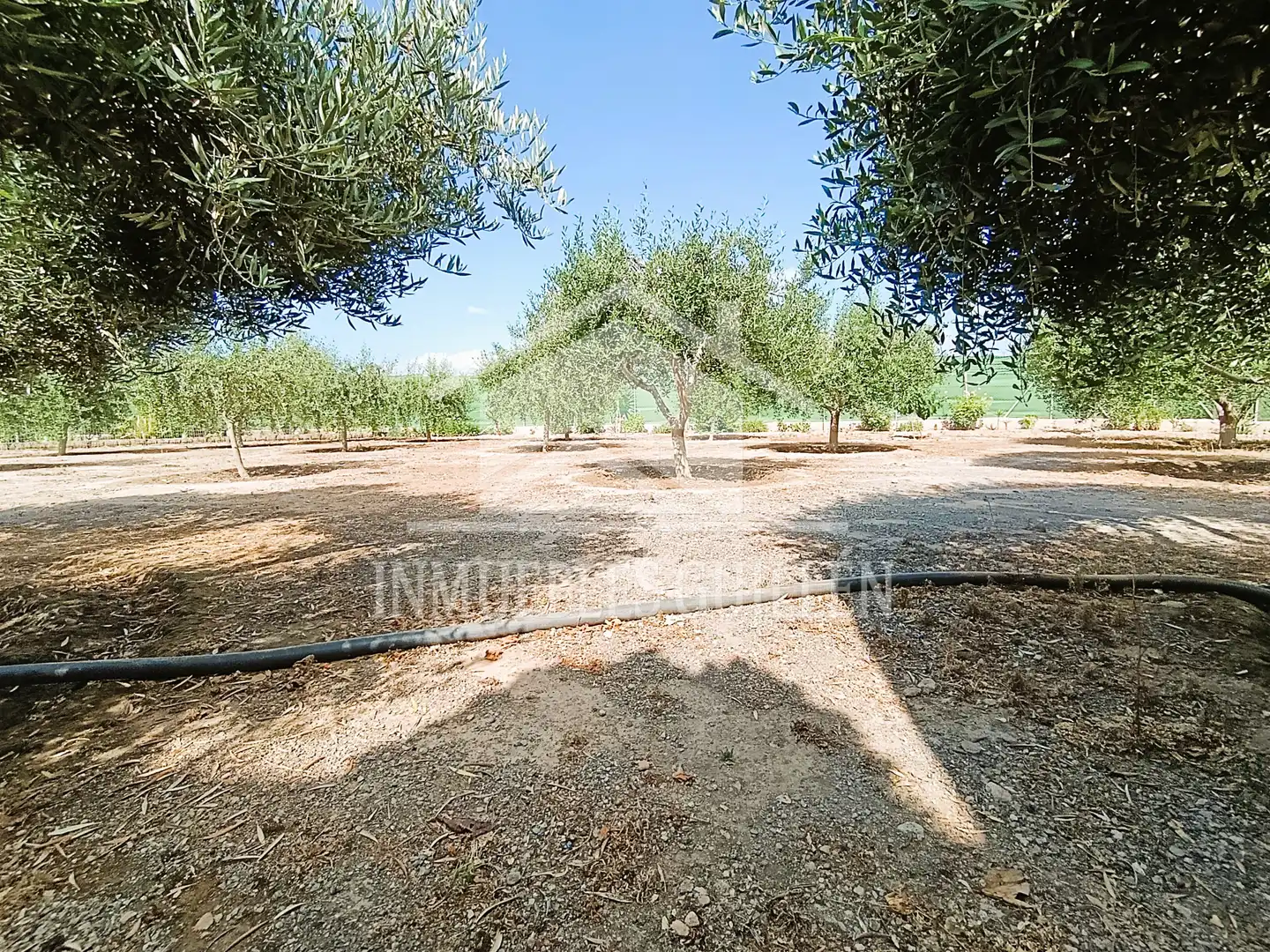 Casa amb piscina en venda a Berja, imagen 13