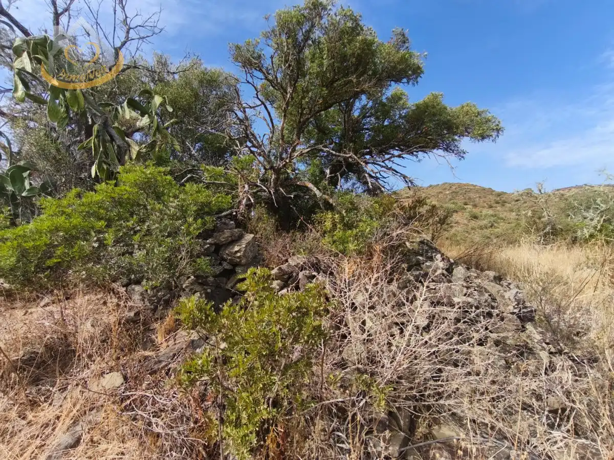 Terreno en venta en Sanlúcar de Guadiana