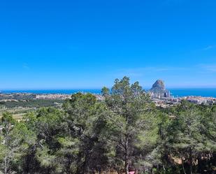 Vista exterior de Terreny industrial en venda en Calpe / Calp