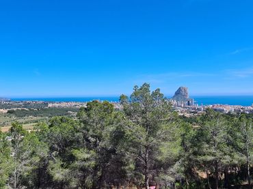 Terreny residencial en venda a Oltamar - Cucarres