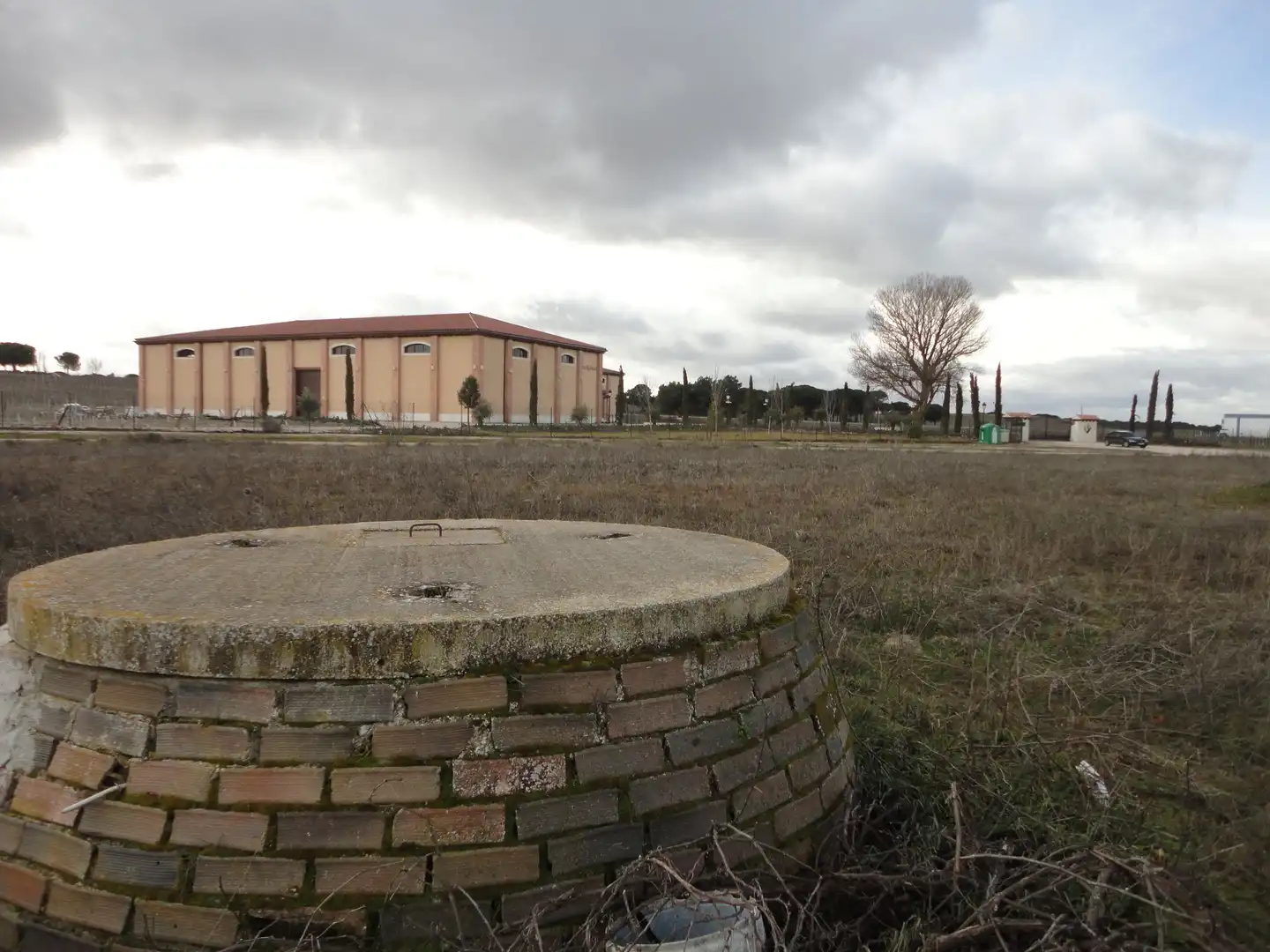 Land for sale in Alcazarén