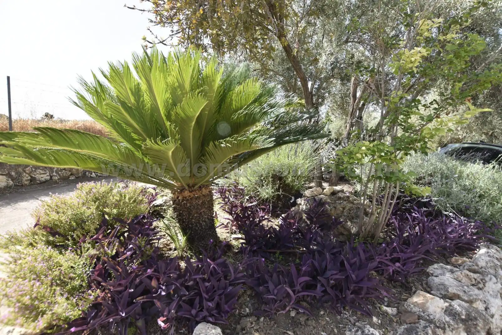 Casa rústica con terraza en venta en Arriate, imagen 18