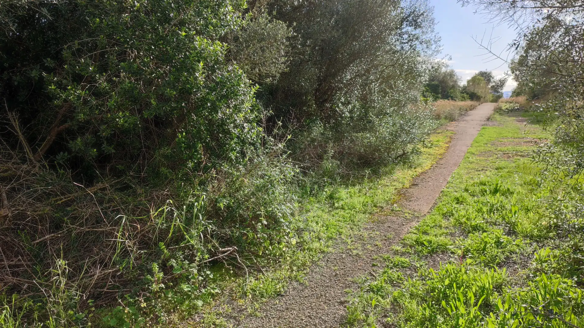Residential land for sale in Carrer Puig des Teix 17, imagen 7