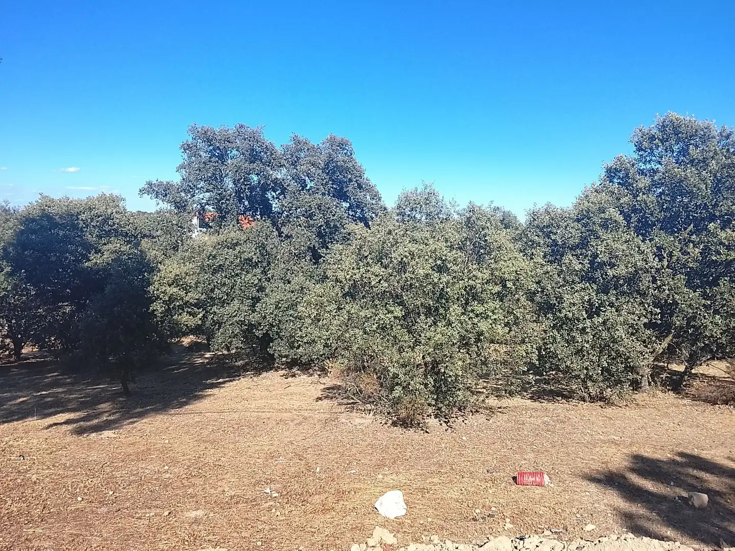 Terreni e lotti in vendita a Sevilla la Nueva, imagen 3
