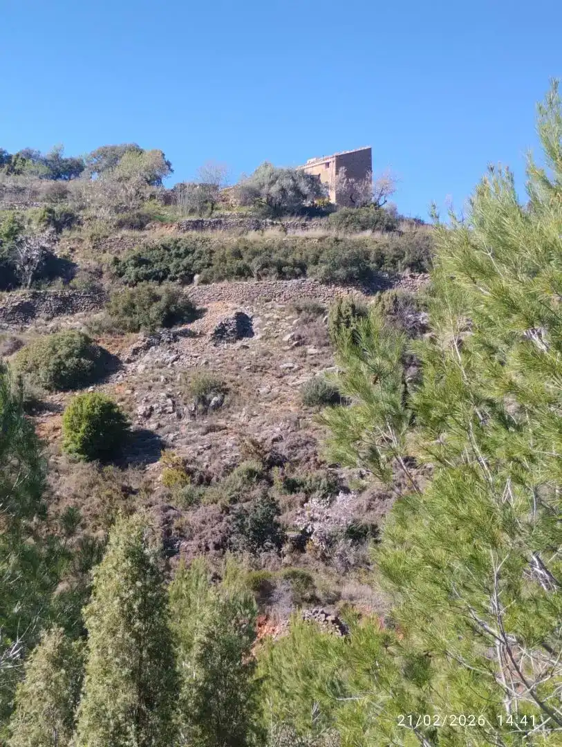 Finca rústica en venda en Llucena / Lucena del Cid