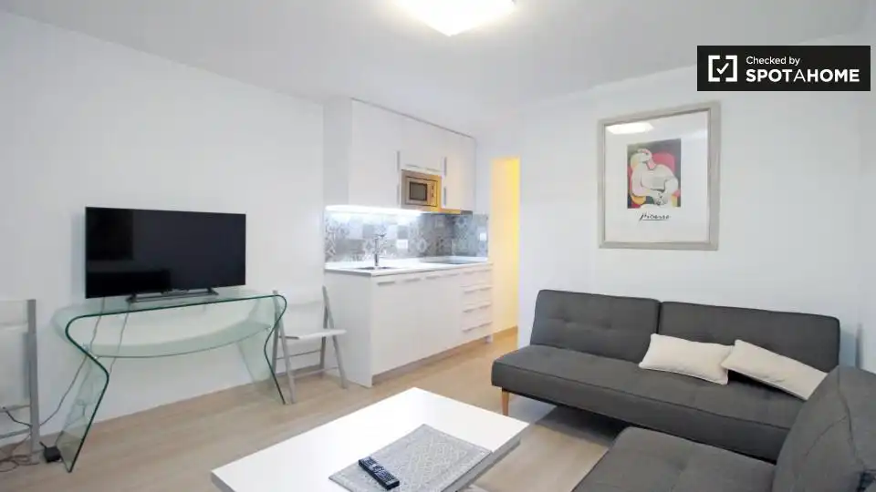 Sala d'estar de Apartament per a compartir en Barcelona amb Aire condicionat, Calefacció i Terrassa