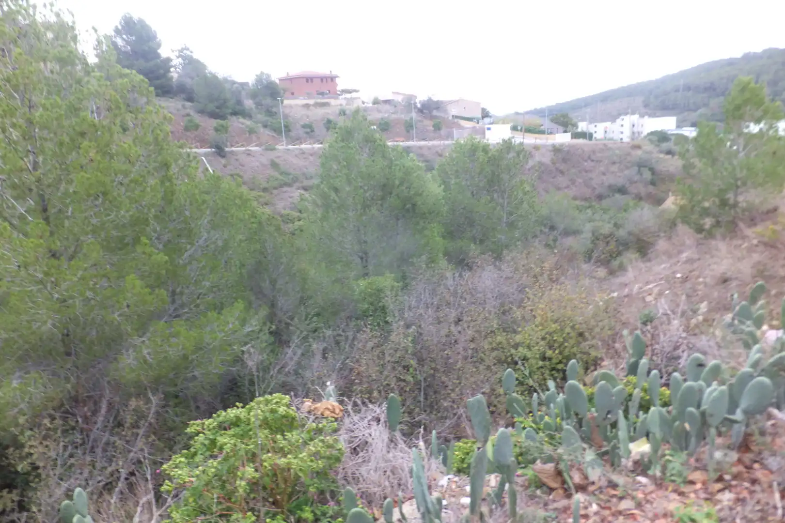 Terreno rustico in vendita a Carrer de Catalunya 23, imagen 7
