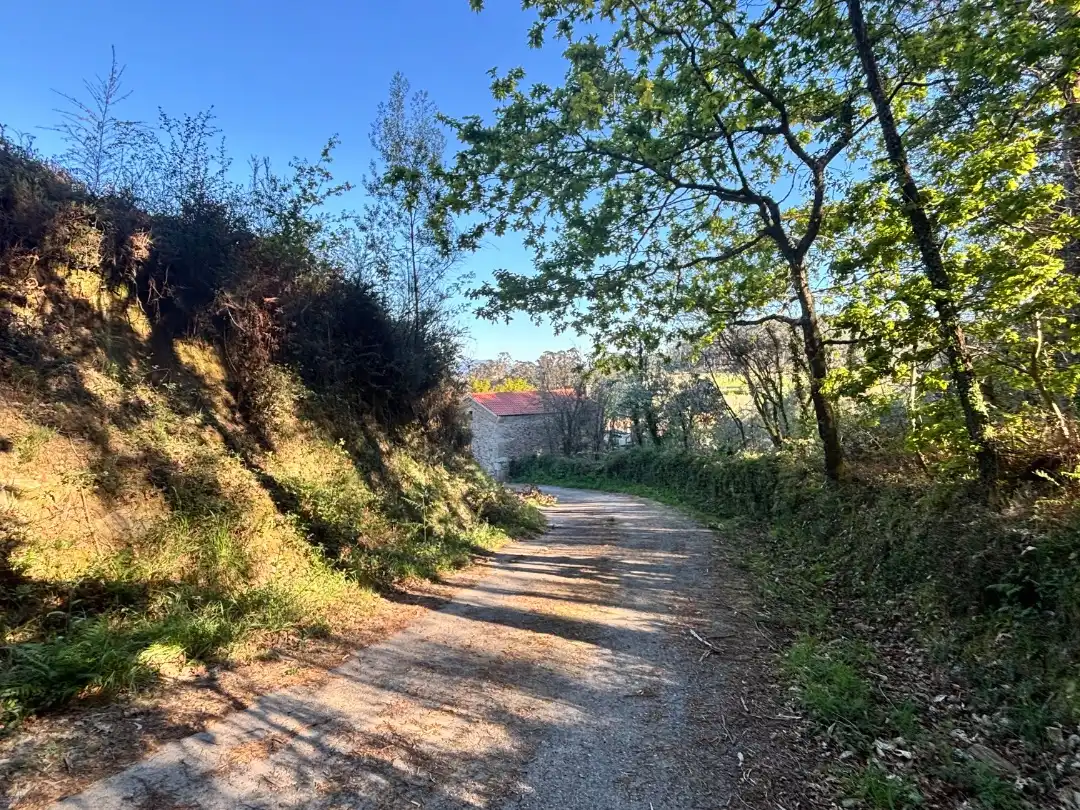 Exterior view of Residential for sale in Boiro