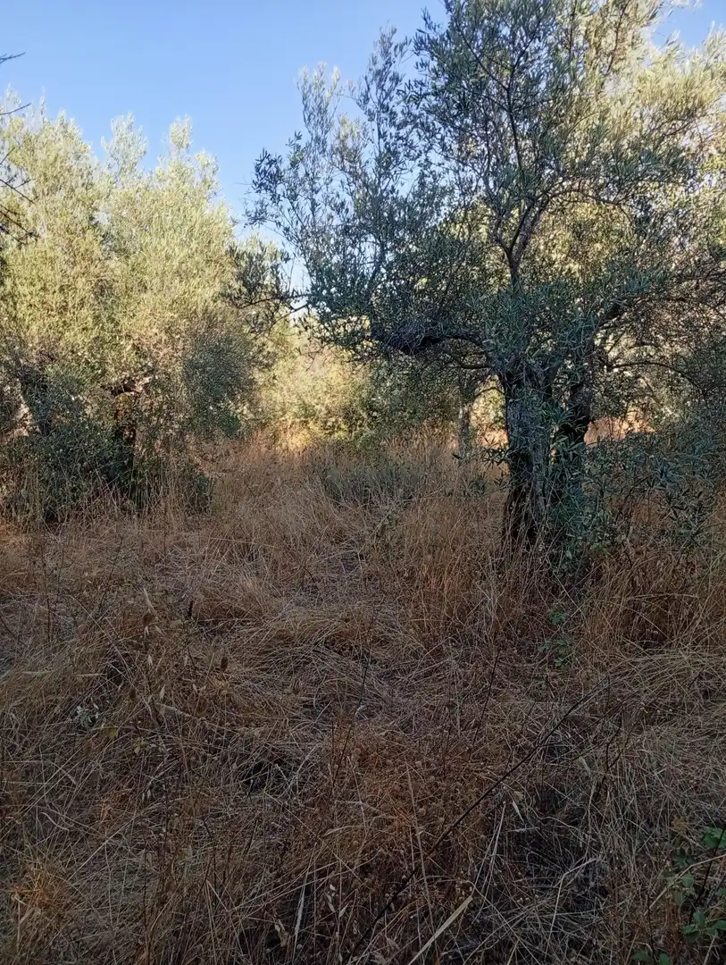 Terreni e lotti in vendita a Villanueva de la Vera, imagen 12