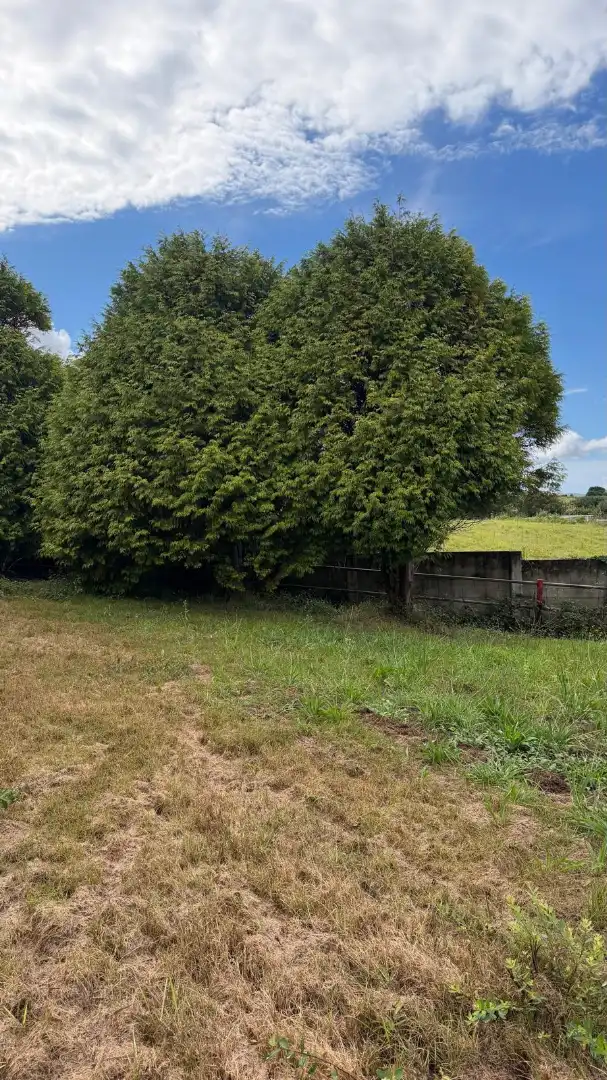 Rural land for sale in La Iglesia, imagen 12