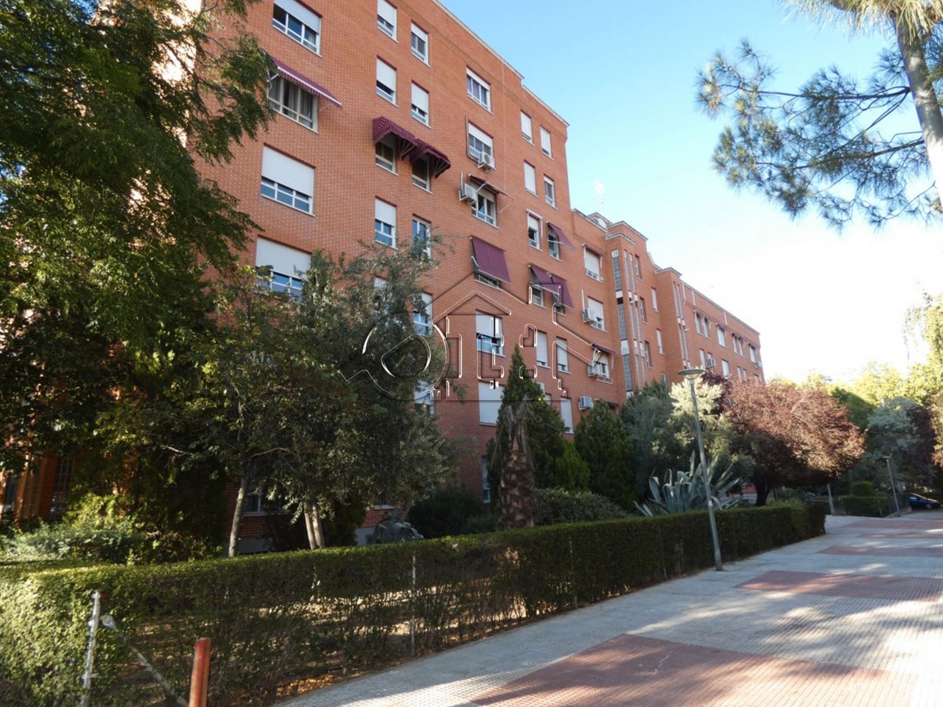 Piso en venta en Calle Cañada, Cañada - Mancha Amarilla