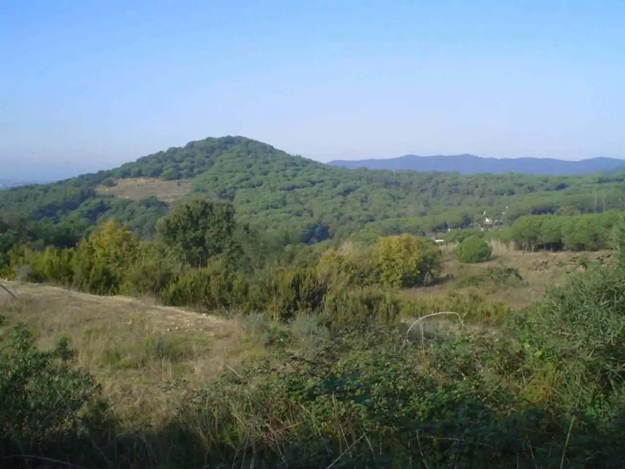 Rural land for sale in Calle JOAN ALCOVER, imagen 2