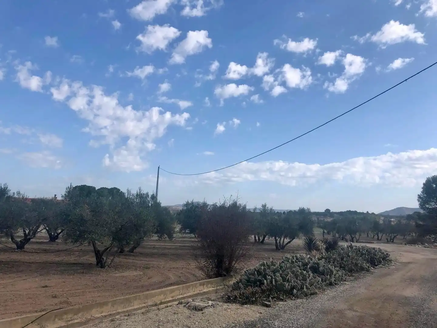 Casa o chalet en venta en Villena con Trastero y Piscina