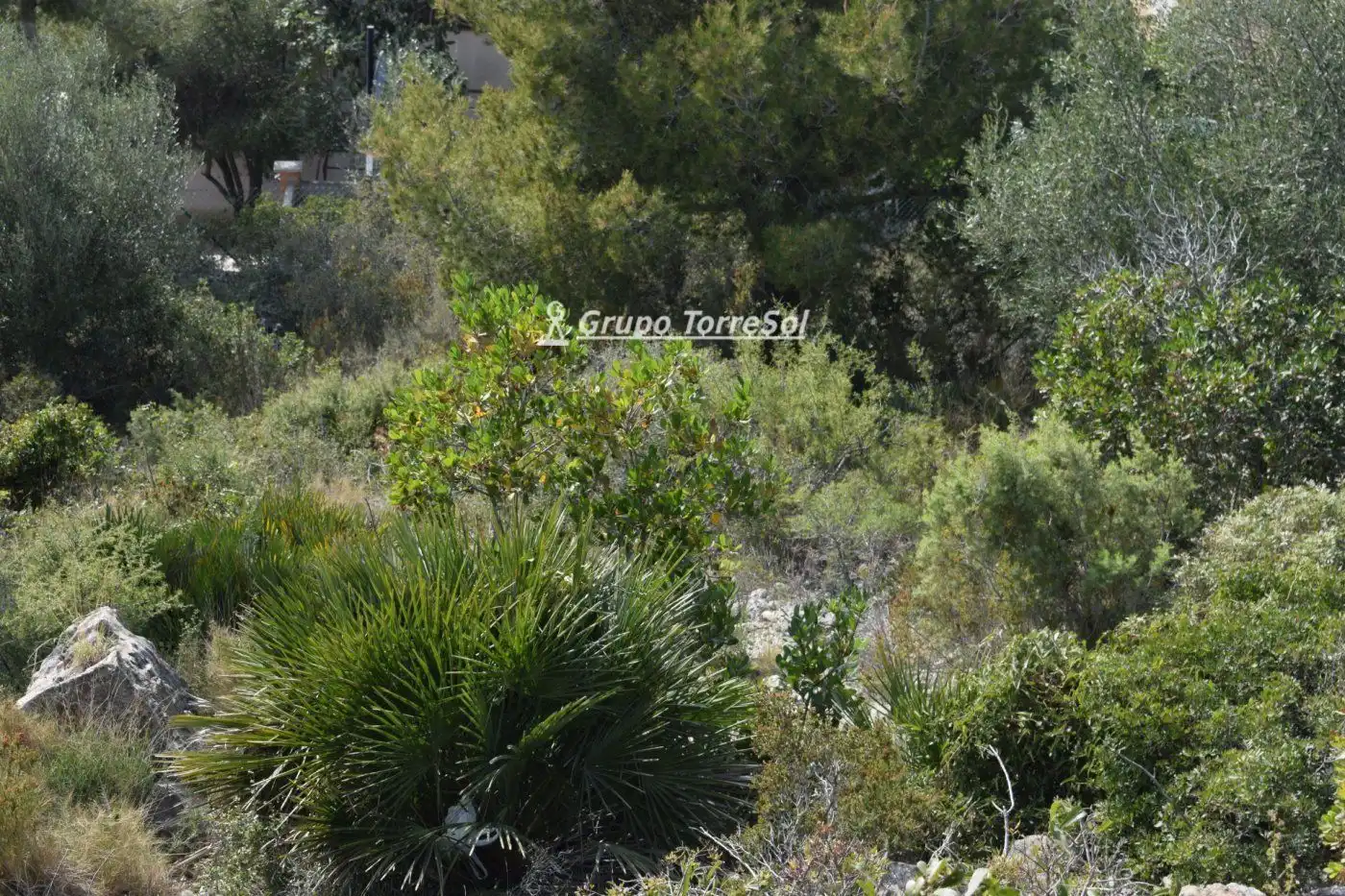 Terreno rustico in vendita a SANTA MARIA DE MONTSERRAT, imagen 9