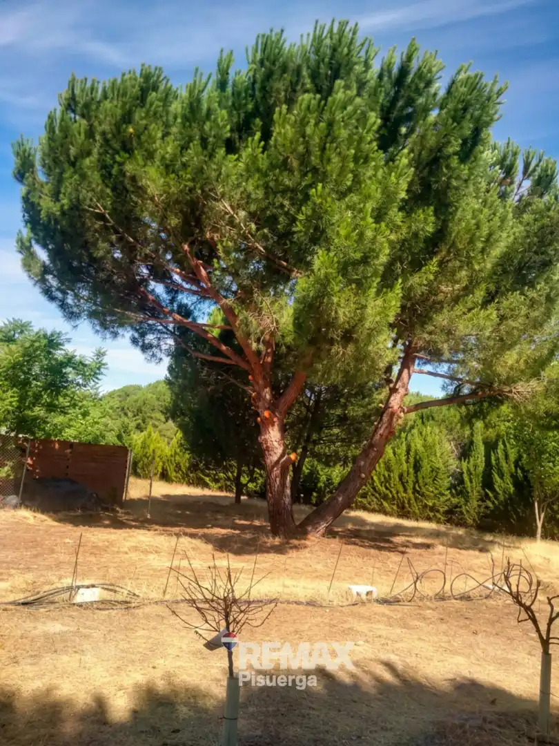 Terreni e lotti in vendita a Lugar Comun Viejo 2, imagen 16