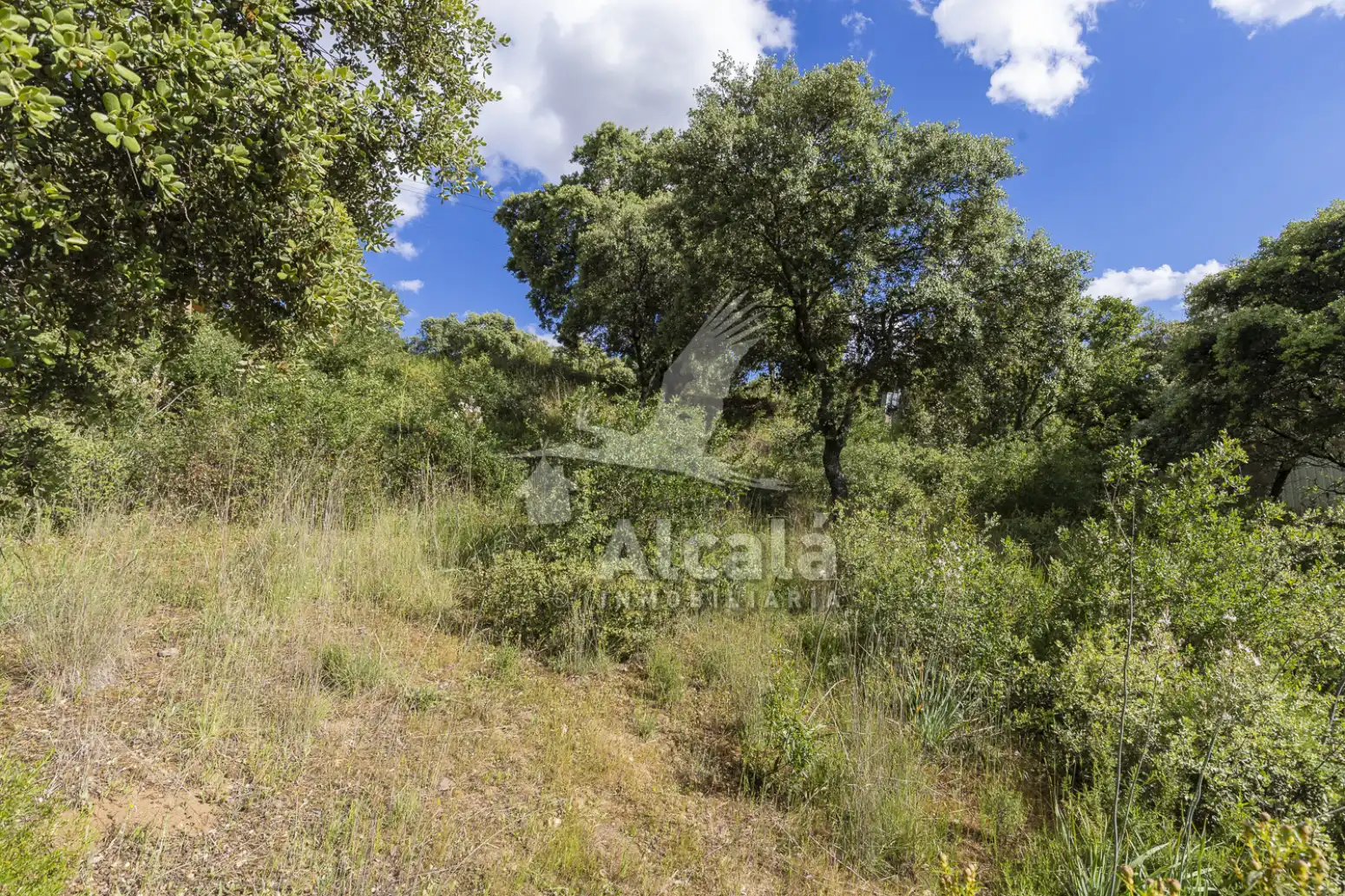 Terreno residencial en venta en Valdeaveruelo, imagen 24