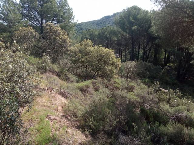 Terreno residencial en Venta en Las Jaras