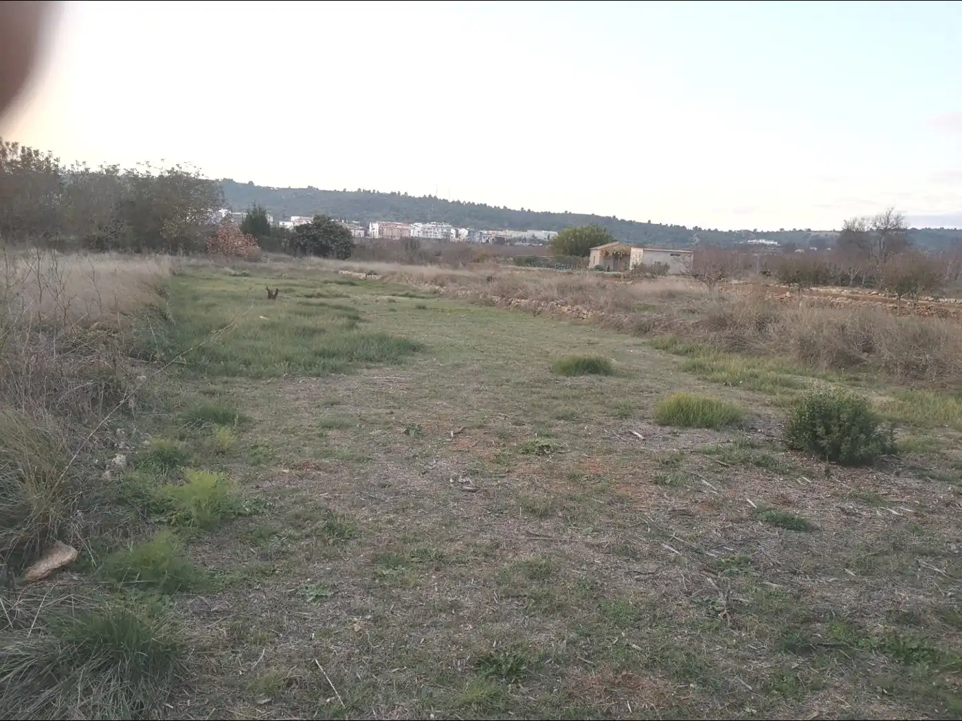 Terreny rústic en venda a Vall d'Alba, imagen 3
