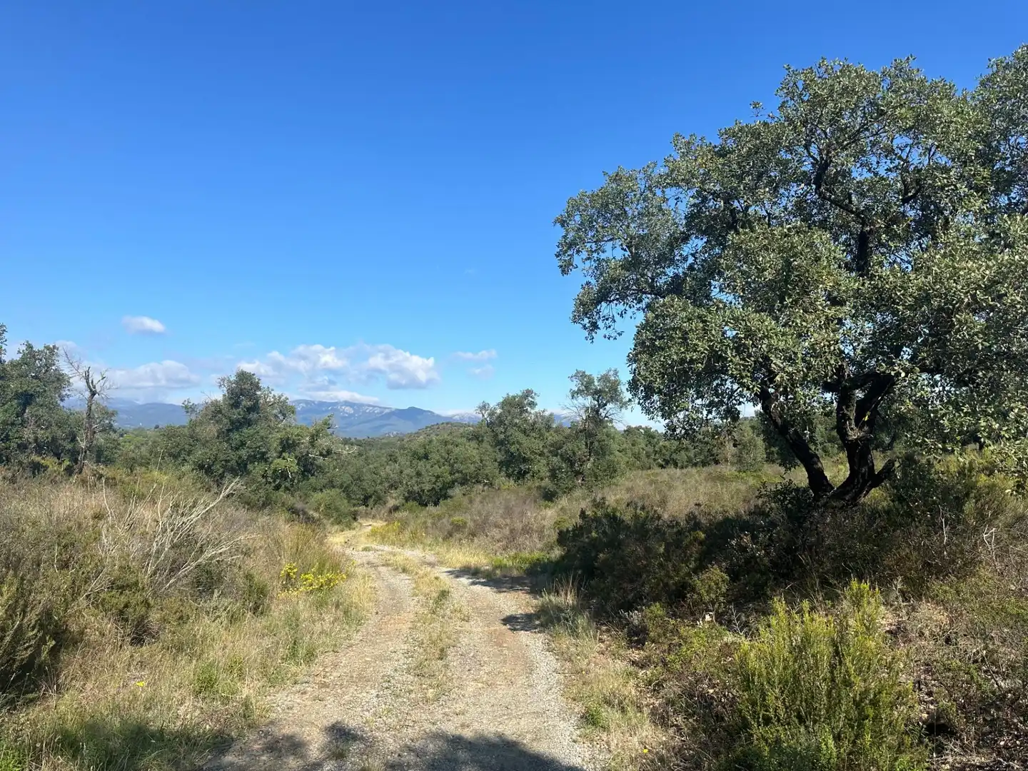 Terreno en venta en Rabós