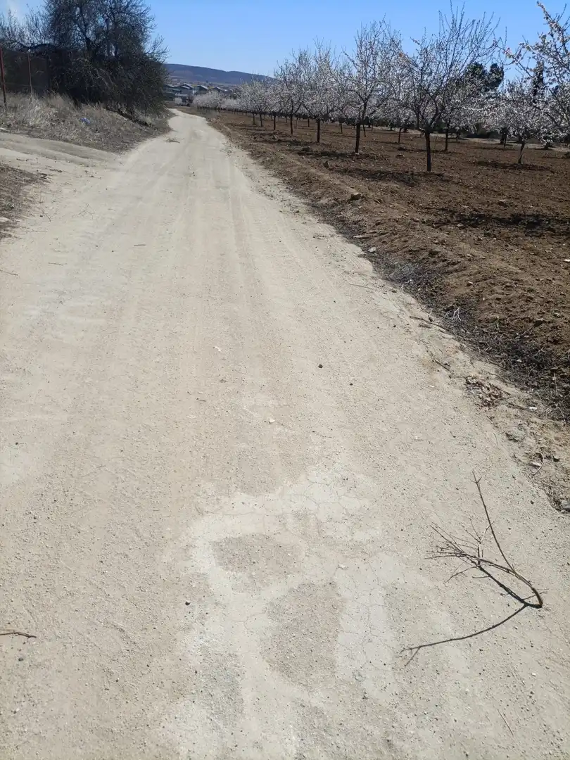 Rural land for sale in Almonacid de Toledo, imagen 4