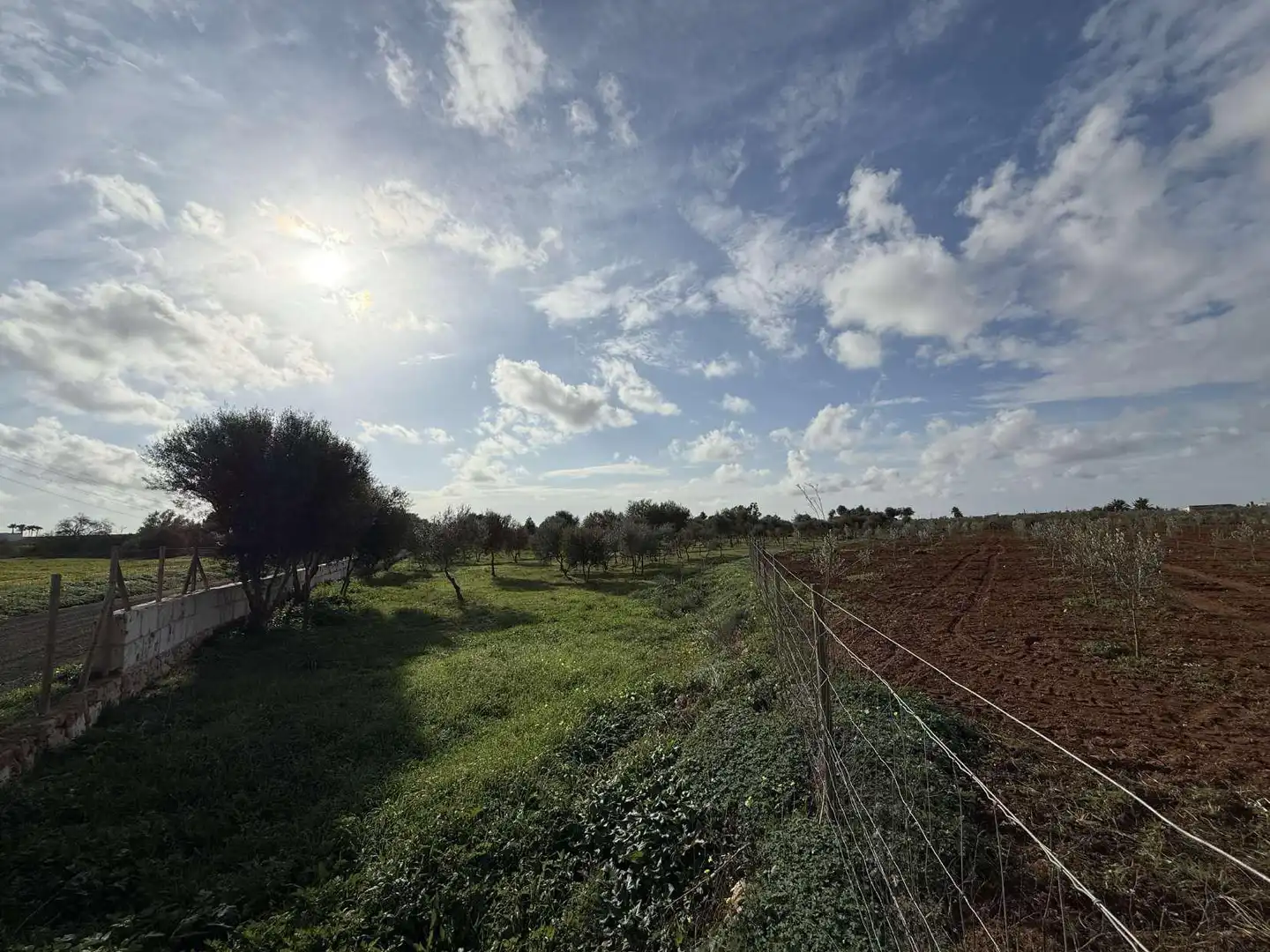 Terreno rustico in vendita a Ronda de Migjorn 64, imagen 8