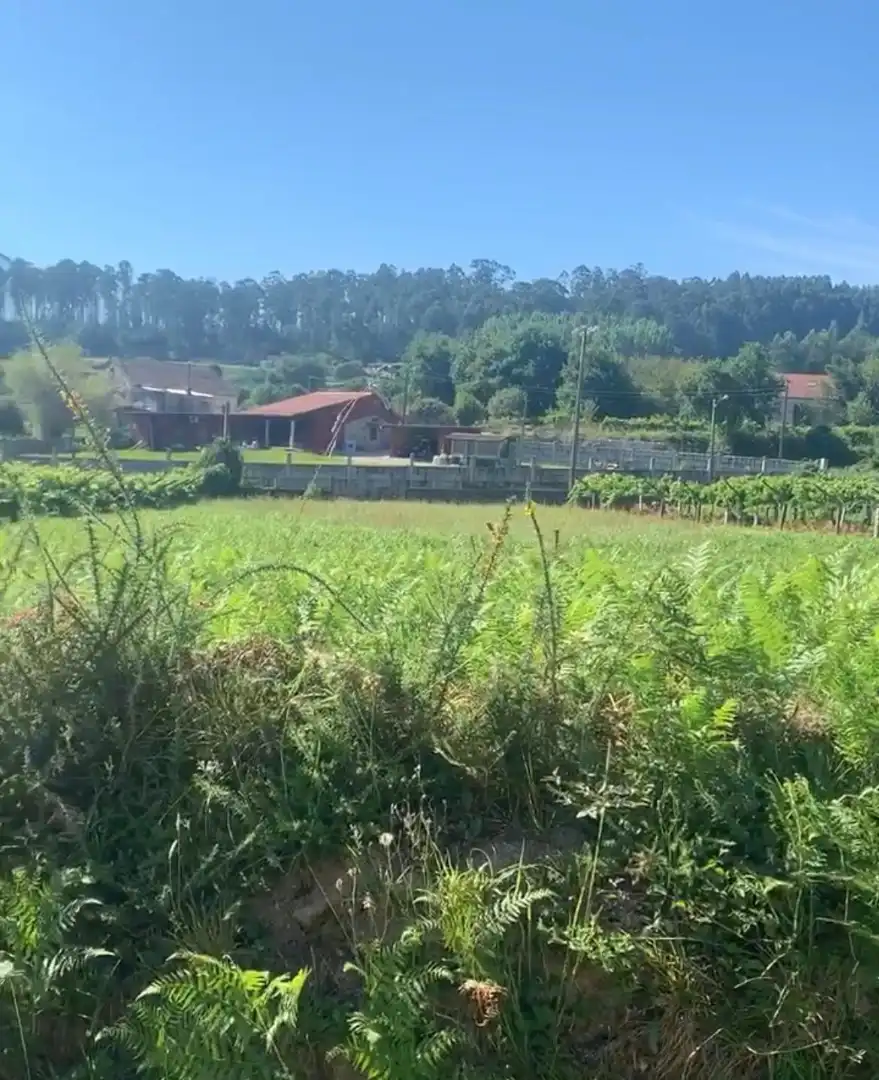 Lands and plots for sale in Lugar Mallón 28