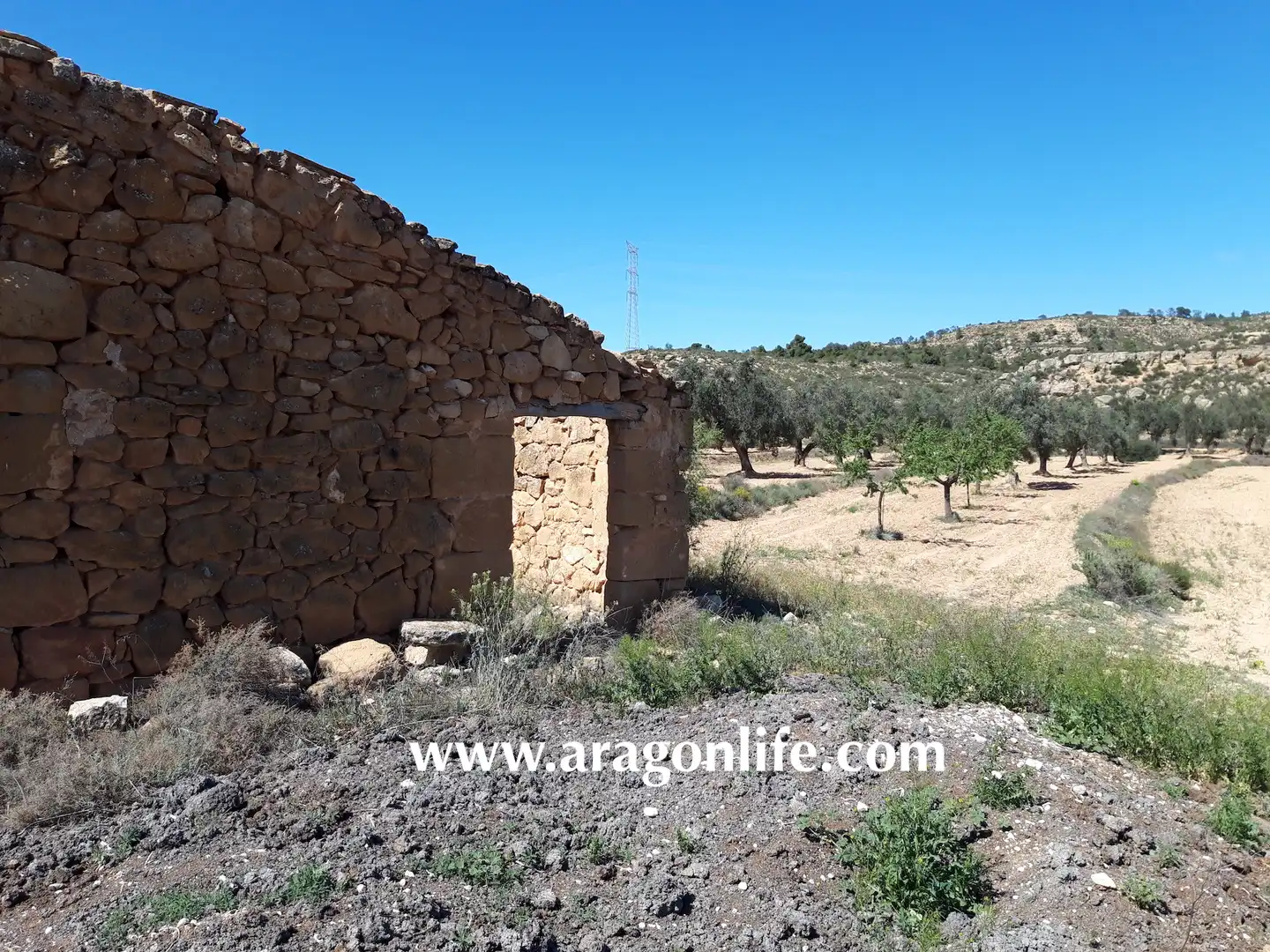Terreny rústic en venda a Maella, imagen 6