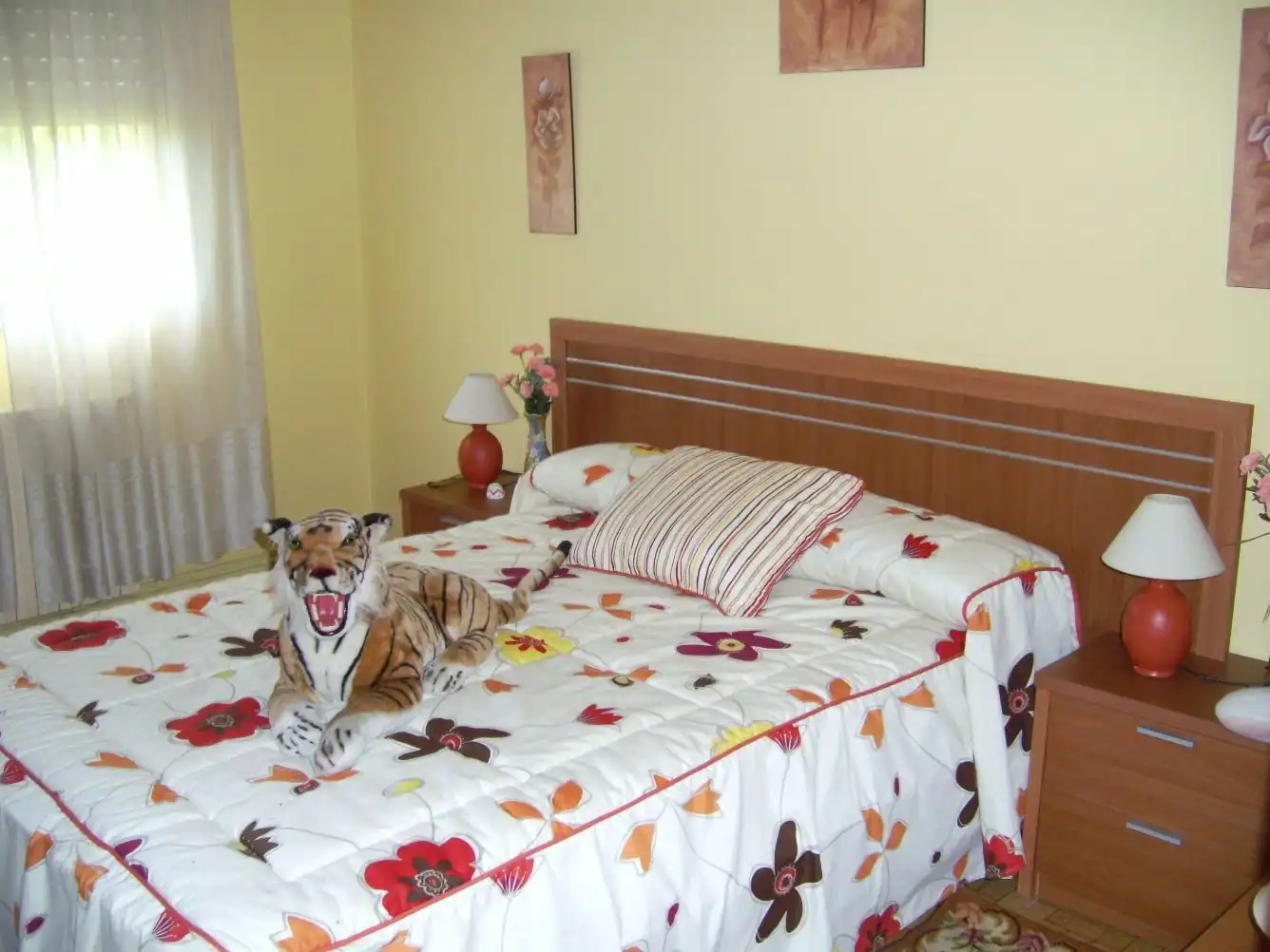 Haus zum Verkauf in Rúa Gabino Bugallal, imagen 24