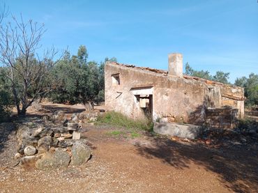 Terrenos y solares en venta en Roquetes