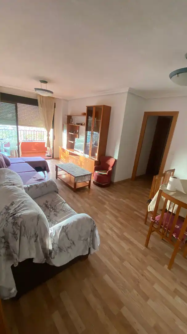 Sala d'estar de Pis en venda en Albacete amb Calefacció, Parquet i Terrassa