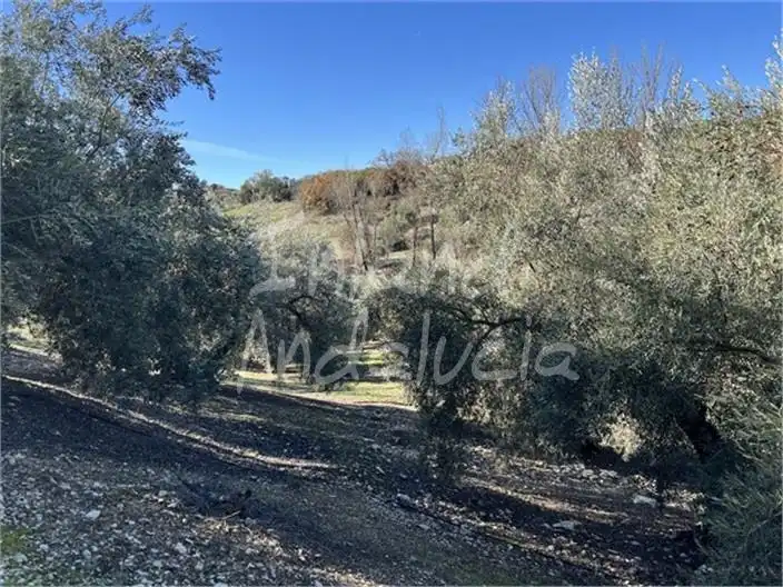 Casa rústica en venda a Priego de Córdoba, imagen 4
