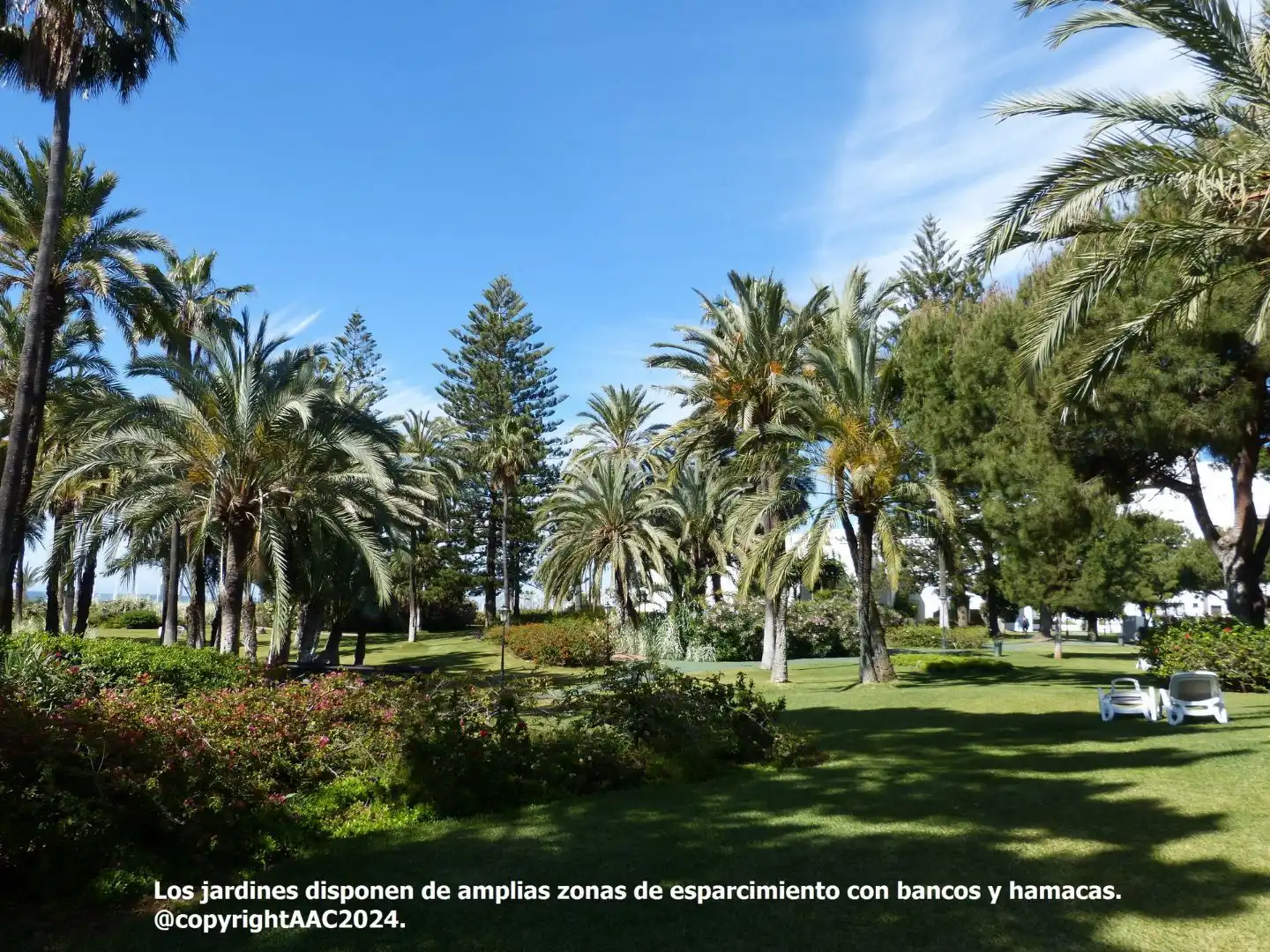 Pis amb piscina en venda a Avenida Playas del Duque, Nueva Andaluciía 29660 Marbella 3, imagen 11
