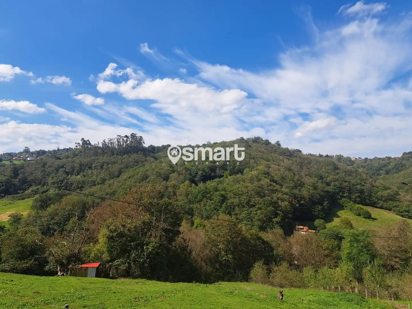 Houses for sale in Mosquitera, Carbayin - Lieres - Valdesoto