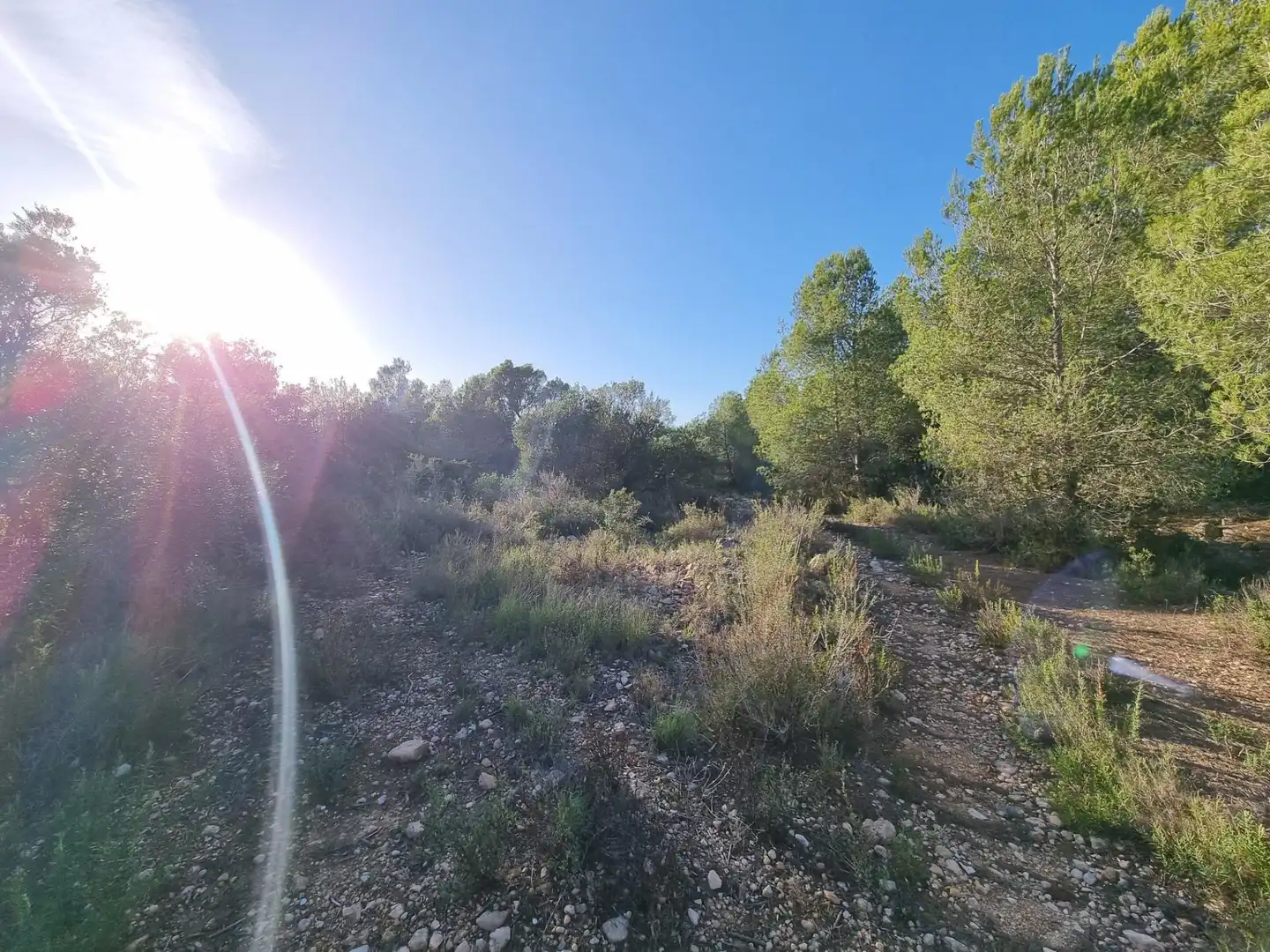 Terreno rústico en venta en Avenida Camí de l'Ametlla de Mar al Perelló, imagen 4