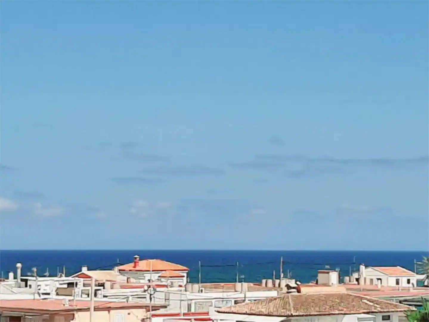 Exterior view of Flat for sale in Oliva  with Balcony