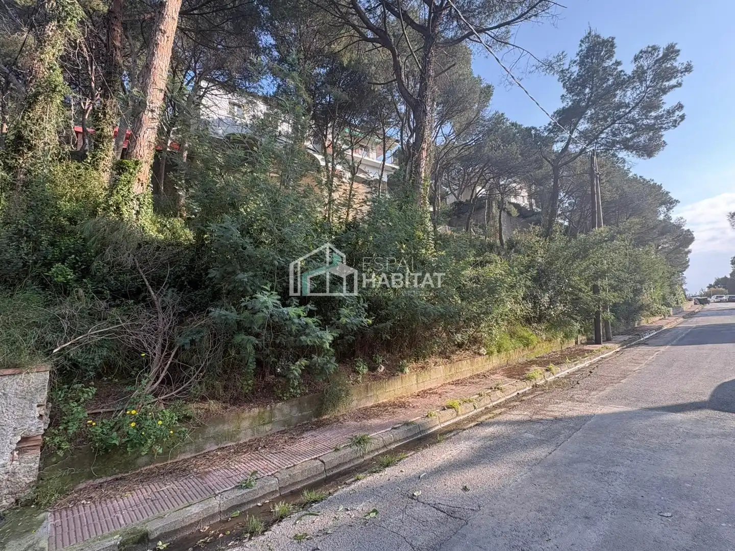 Terreny residencial en venda a Cabrils, imagen 3