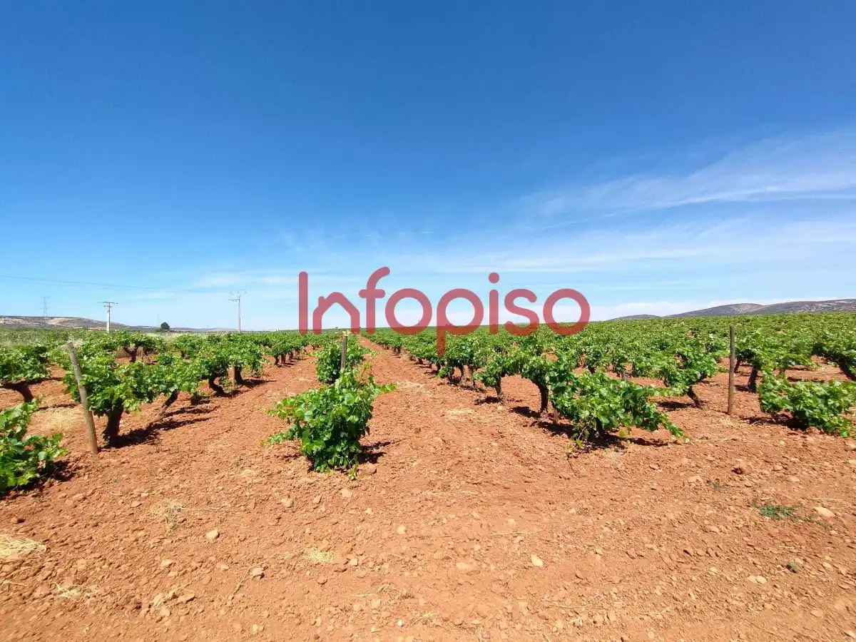 Lands and plots for sale in Valdepeñas, imagen 5