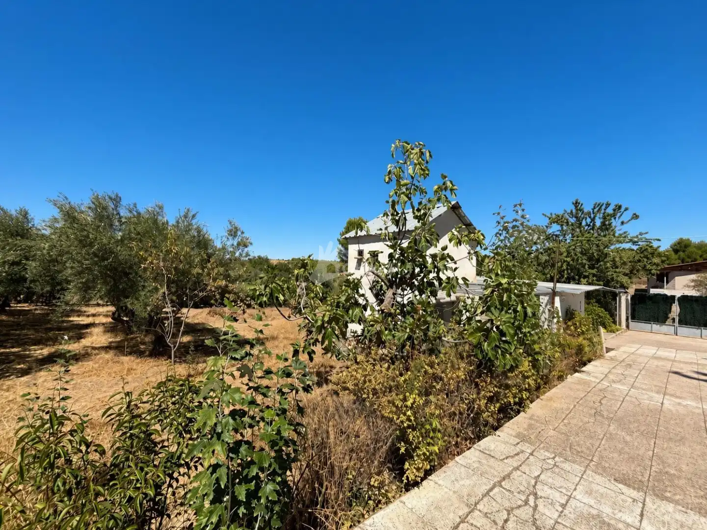 Casa o xalet en venda a Brea de Tajo