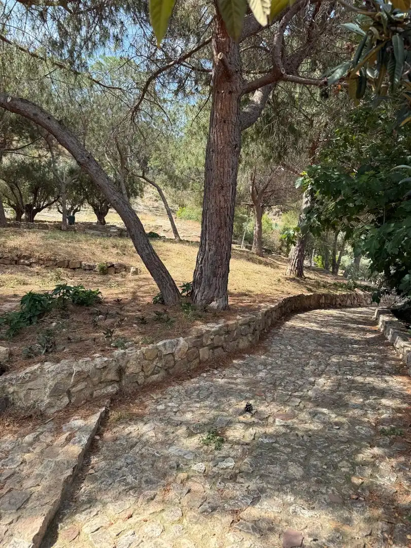 Casa o xalet en venda en Sagunto / Sagunt