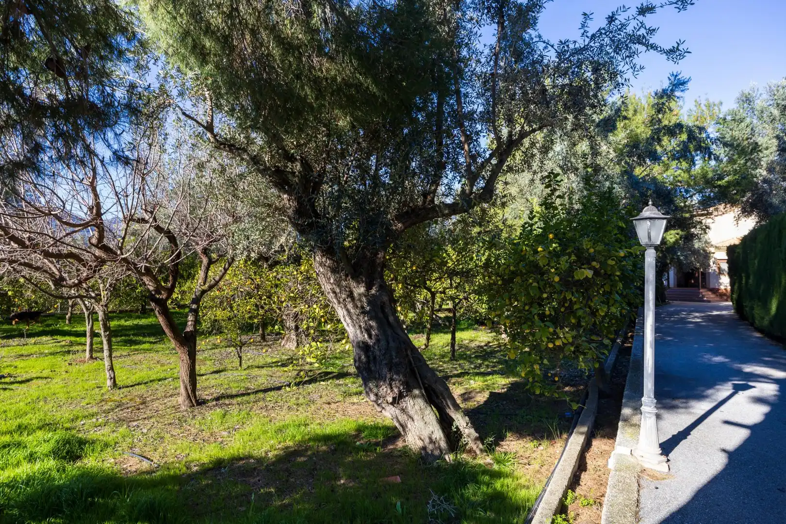 Villa avec terrasse à vendre à El Valle, imagen 60