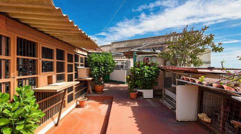 Foto 5 de Finca rústica en venta en Calle Tirma, 17, Callejón del Castillo - El Calero - Las Huesas, Telde