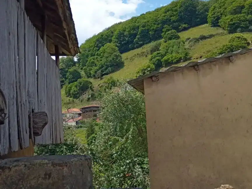 Vista exterior de Finca rústica en venda en Tineo
