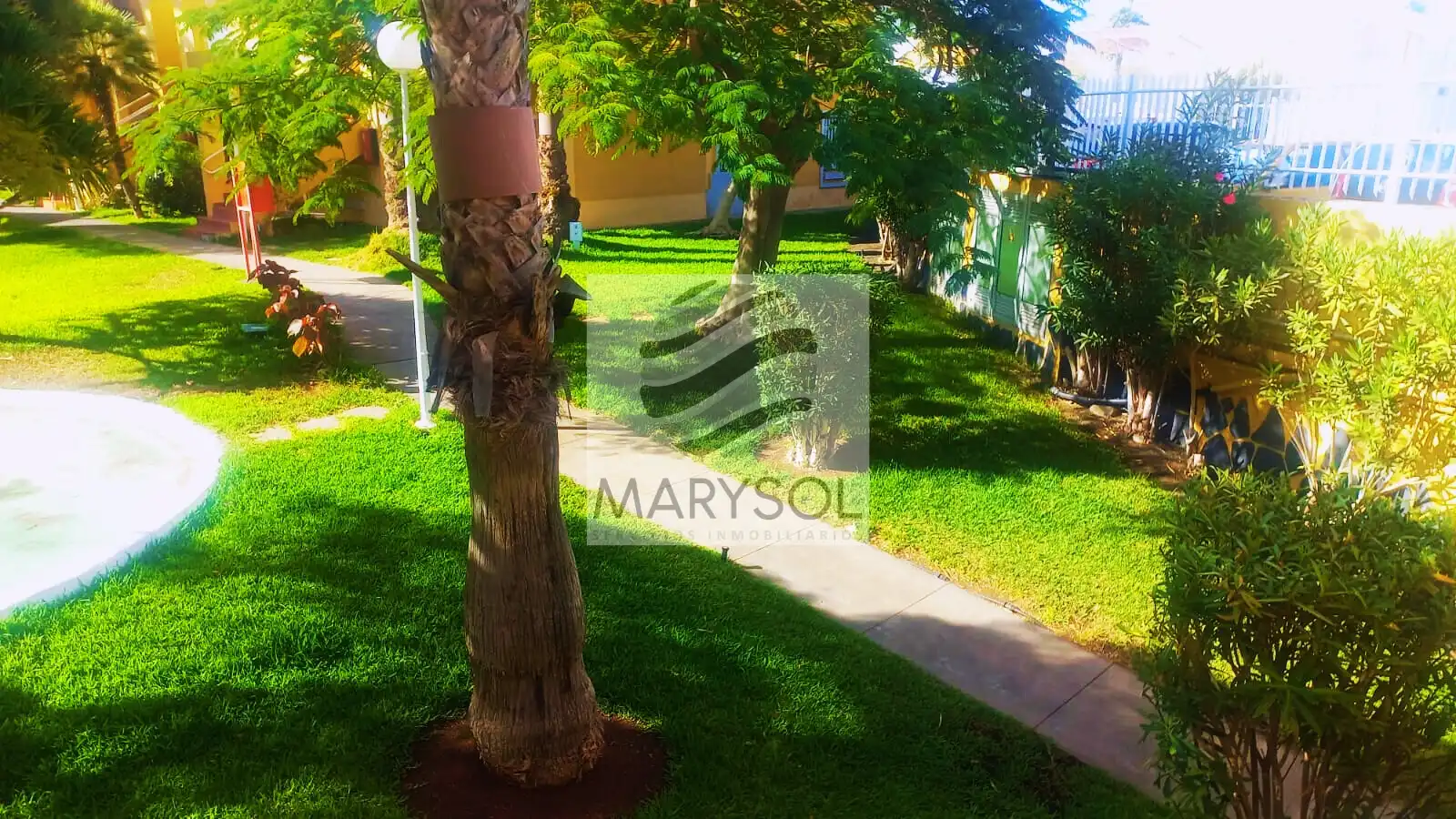 Planta baja de alquiler en Calle Tauro, 4, Maspalomas - Meloneras