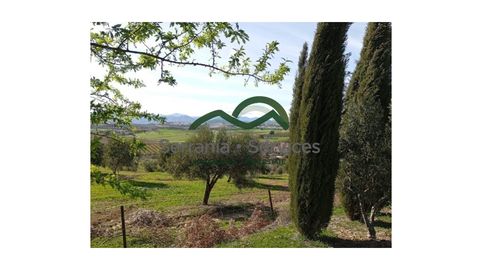 Foto 5 de Finca rústica en venta en Partidas Norte, Ronda