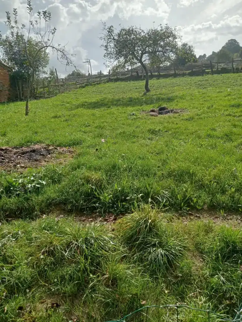 Casa o xalet en venda en Laviana amb Balcó