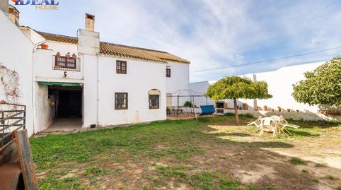 Foto 2 de Finca rústica en venda a  Polígono 34 Paraje 43 Cerro Santa Ana, 22, Pinos Puente, Granada