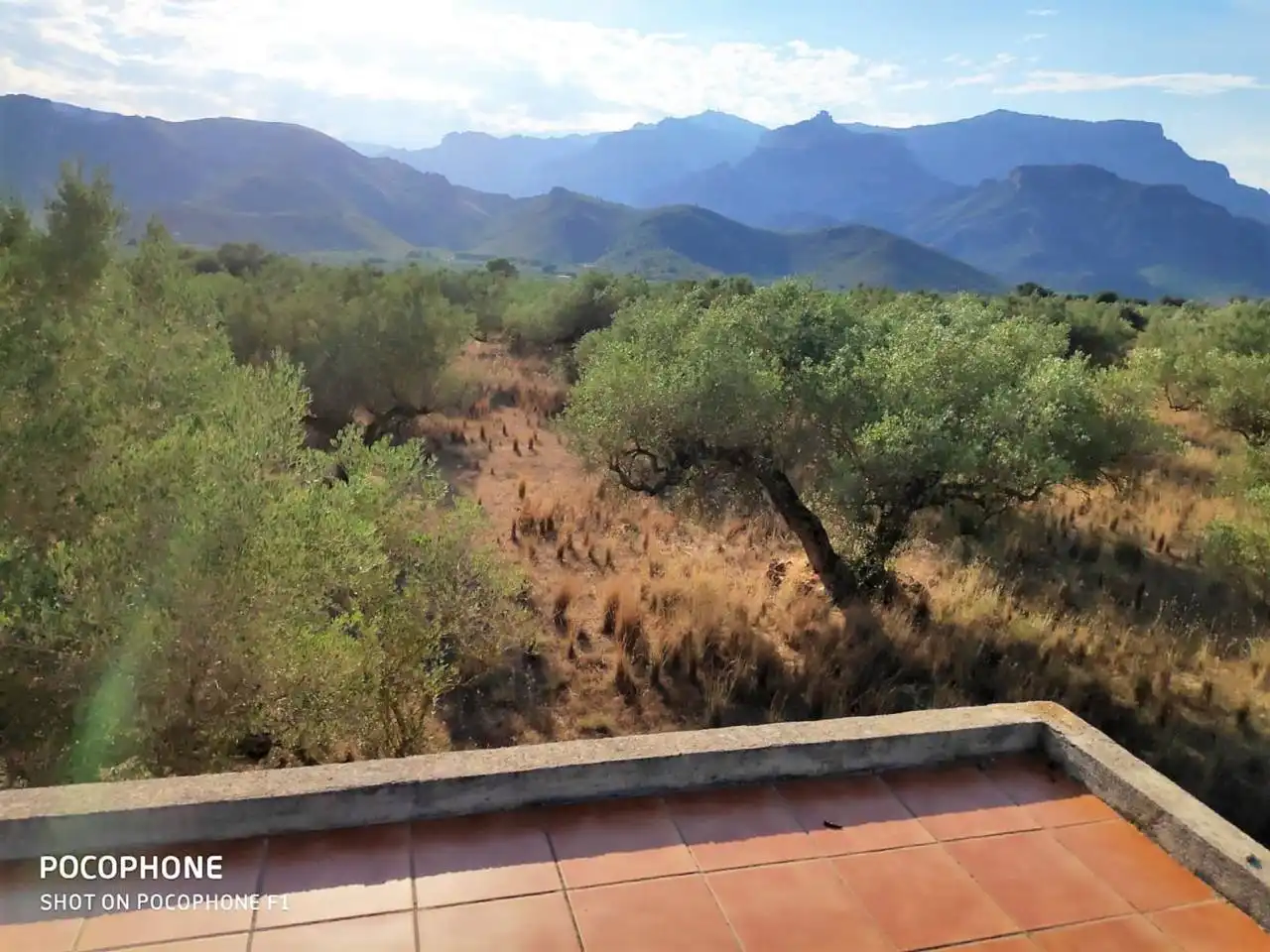 Rural land for sale in Roquetes, imagen 7