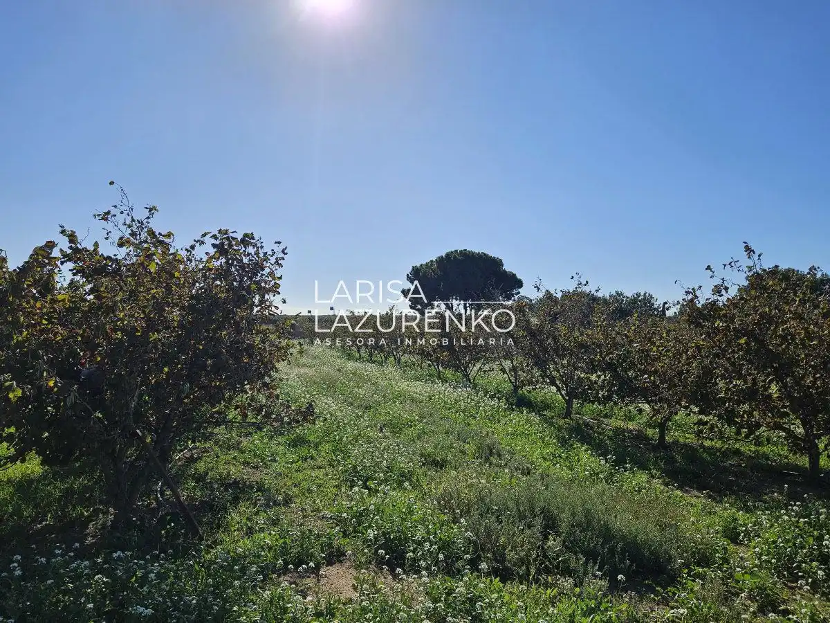 Finca rústica en venda en Vinyols i els Arcs