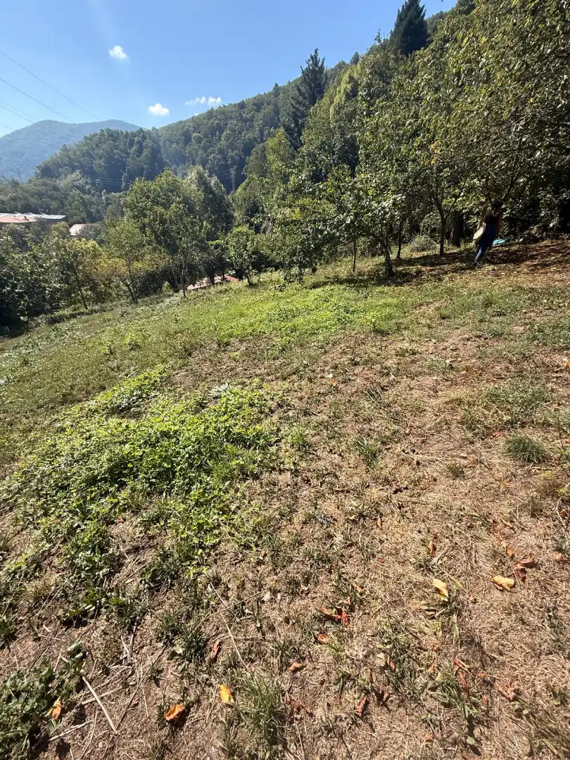 Maison jumelée avec jardin à vendre à Quirós, imagen 33